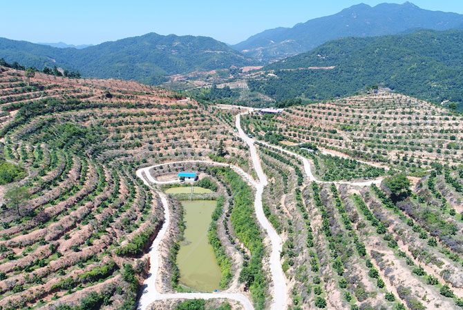 火狐官网下载:京东淘宝2024年双12活动规矩揭晓：满300减4012月7日预热敞开